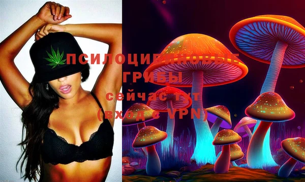 jwh Белокуриха