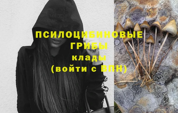 jwh Белокуриха